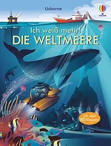 Ich weiß mehr! Die Weltmeere: mit über 80 Klappen