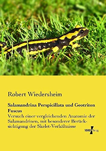 Salamandrina Perspicillata und Geotriton Fuscus: Versuch einer vergleichenden Anatomie der Salamandrinen, mit besonderer Berück- sichtigung der Skelet-Verhältnisse