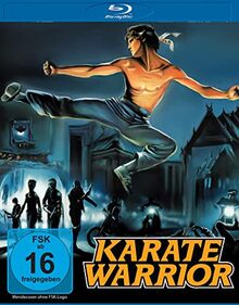 Karate Warrior von LEONINE  | DVD | Zustand sehr gut