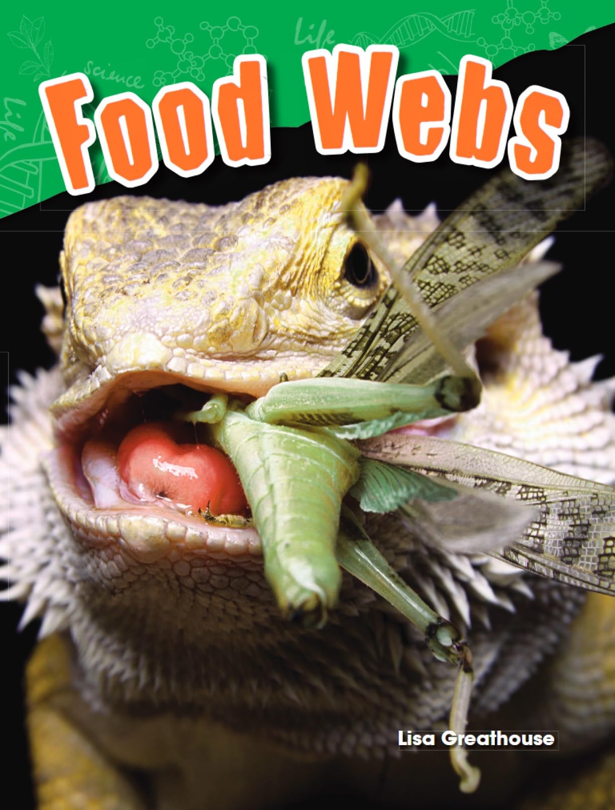 Food Webs (Science Readers: Life Science)