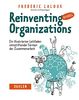 Reinventing Organizations visuell: Ein illustrierter Leitfaden sinnstiftender Formen der Zusammenarbeit