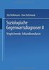 Soziologische Gegenwartsdiagnosen II: Vergleichende Sekundäranalysen