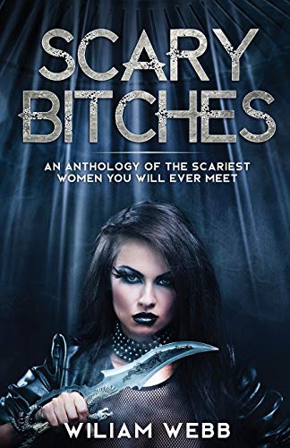 Scary Bitches: An Anthology of the Scariest Women You Will Ever Meet (Crime Shorts, Band 6)