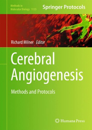 Cerebral Angiogenesis: Methods and Protocols (Methods in Molecular Biology)