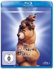 Bärenbrüder - Disney Classics [Blu-ray]