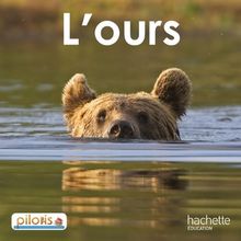 L'ours