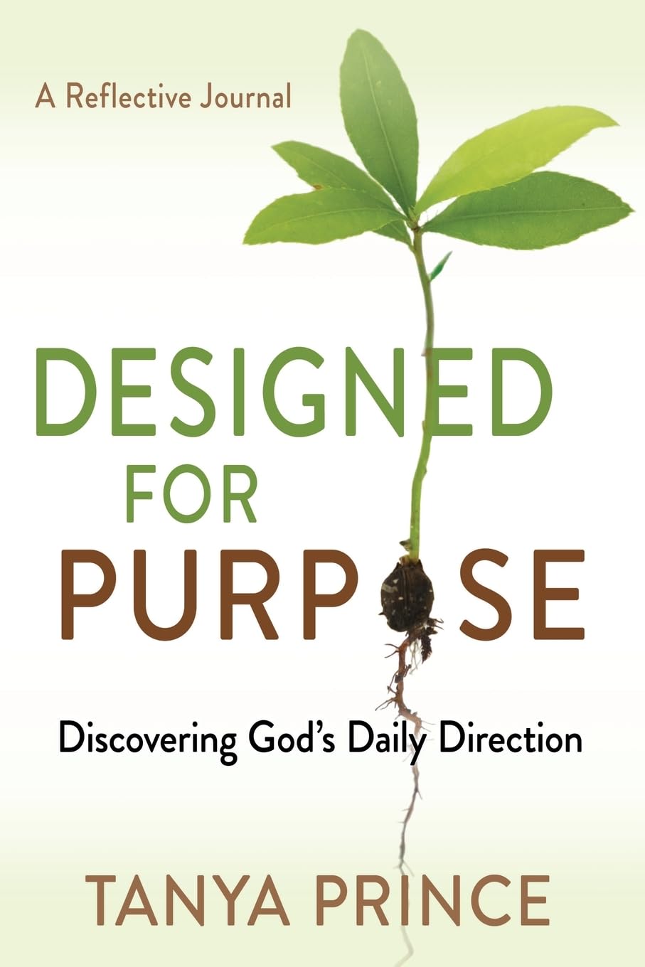 Designed for Purpose: Discovering God’s Daily Direction