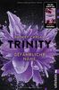 Trinity - Gefährliche Nähe (Die Trinity-Serie, Band 2)