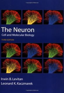 The Neuron: Cell and Molecular Biology