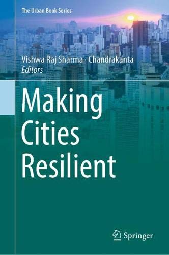 Making Cities Resilient (The Urban Book Series)