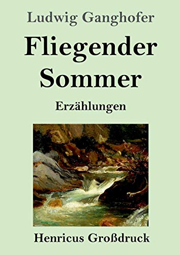 Fliegender Sommer (Großdruck): Erzählungen