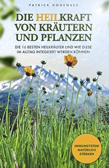 Die Heilkraft von Kräutern und Pflanzen: Die 16 besten Heilkräuter und wie diese im Alltag integriert werden können. Immunsystem natürlich stärken