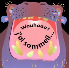Wouhaaa ! j'ai sommeil