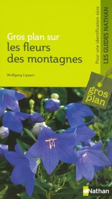 Les fleurs des montagnes