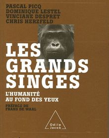 Les grands singes : l'humanité au fond des yeux