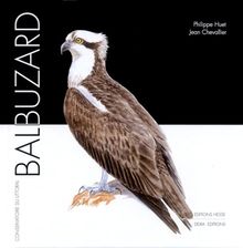 Balbuzard