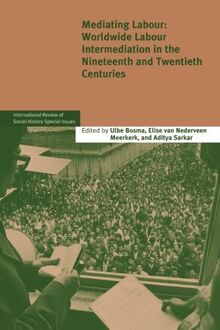 Mediating Labour: Worldwide Labour Intermediation In The Nineteenth And Twentieth Centuries (International Review of Social History Supplements, Band 20)