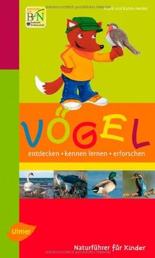 Vögel: Entdecken, kennen lernen, erforschen