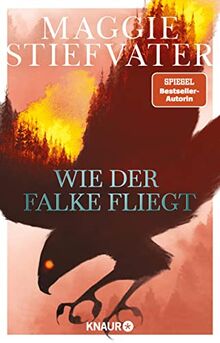 Wie der Falke fliegt (Dreamer-Trilogie, Band 1)