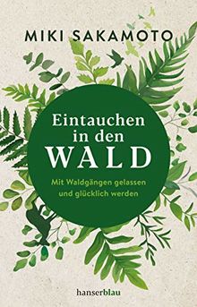 Eintauchen in den Wald: Mit Waldgängen gelassen und glücklich werden