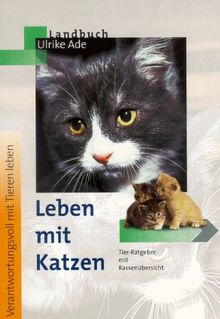 Leben mit Katzen: Tier-Ratgeber mit Rassenübersicht