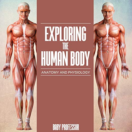 Exploring the Human Body Anatomy and Physiology