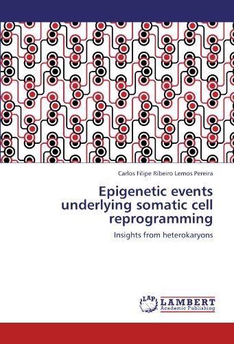 Epigenetic events underlying somatic cell reprogramming: Insights from heterokaryons