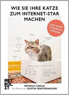 Wie Sie Ihre Katze zum Internet-Star machen: und damit stinkreich werden