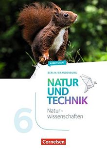 Natur und Technik - Naturwissenschaften: Neubearbeitung - Berlin/Brandenburg / 6. Schuljahr: Naturwissenschaften - Arbeitsheft | Buch | Zustand sehr gut
