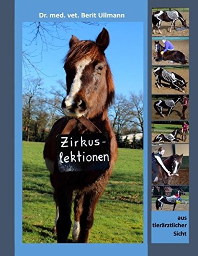 Zirkuslektionen: aus tierärztlicher Sicht
