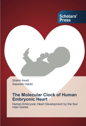 The Molecular Clock of Human Embryonic Heart: Human Embryonic Heart Development by the four main Genes