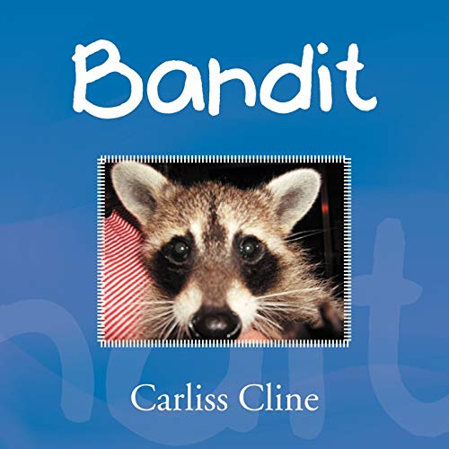 Bandit