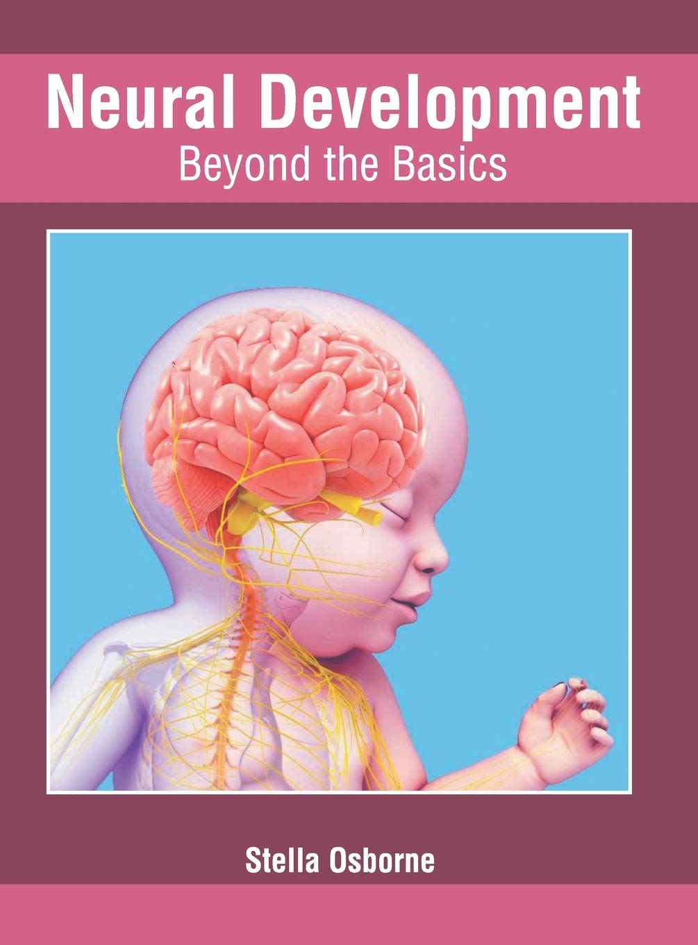 Neural Development: Beyond the Basics