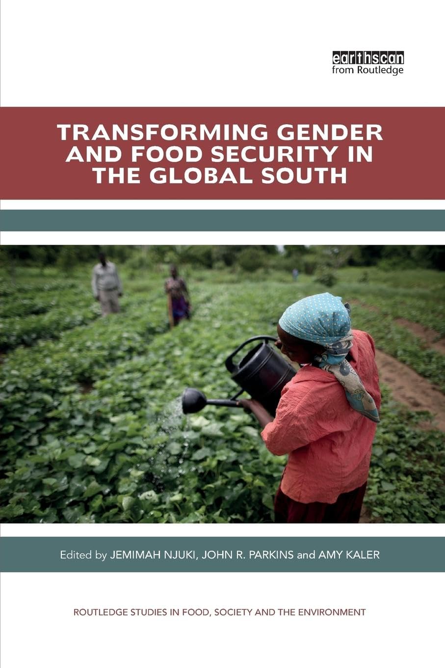 Transforming Gender and Food Security in the Global South (Routledge Studies in Food, Society and the Environment)