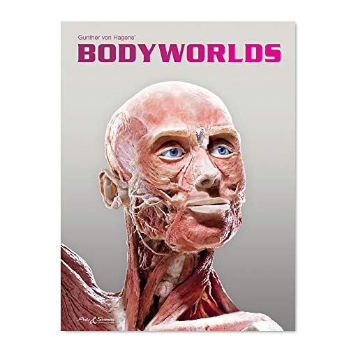 BODY WORLDS - The Original Exhibition (English)