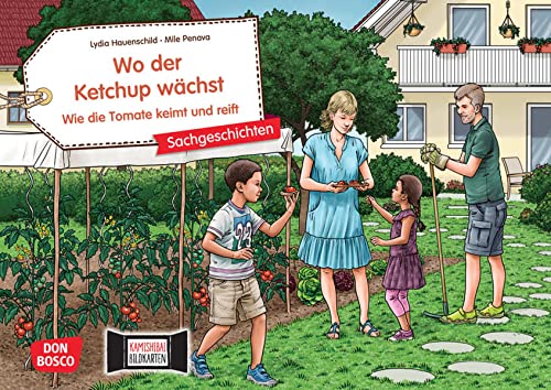 Wo der Ketchup wächst. Wie die Tomate keimt und reift. Kamishibai Bildkartenset: Gärtnern mit Kindern: Tomatenpflanzen pflegen für Kinder ab 4 (Sachgeschichten für unser Erzähltheater)