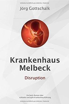Krankenhaus Melbeck - Disruption: Ein Sachroman über agile und schlanke Krankenhausführung