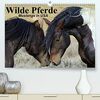 Wilde Pferde • Mustangs in USA (Premium, hochwertiger DIN A2 Wandkalender 2024, Kunstdruck in Hochglanz): Die Mustangs der USA in Wyoming und Utah (Monatskalender, 14 Seiten ) (CALVENDO Tiere)