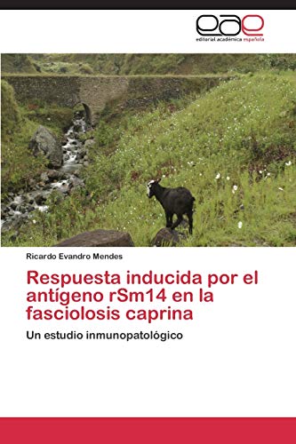 Respuesta inducida por el antígeno rSm14 en la fasciolosis caprina: Un estudio inmunopatológico