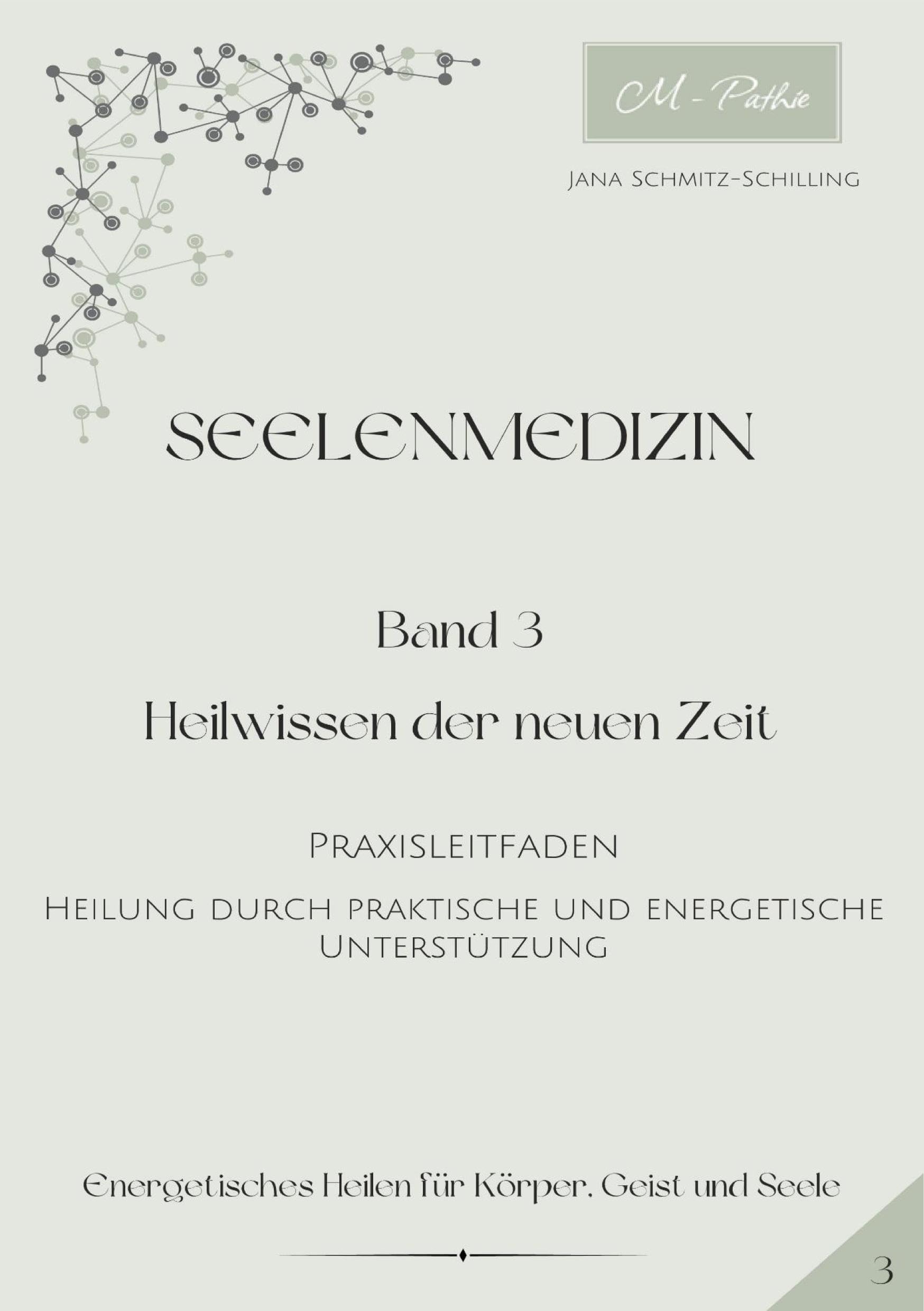 Seelenmedizin: Band 3 - Praxisleitfaden - Heilung durch praktische und energetische Unterstützung