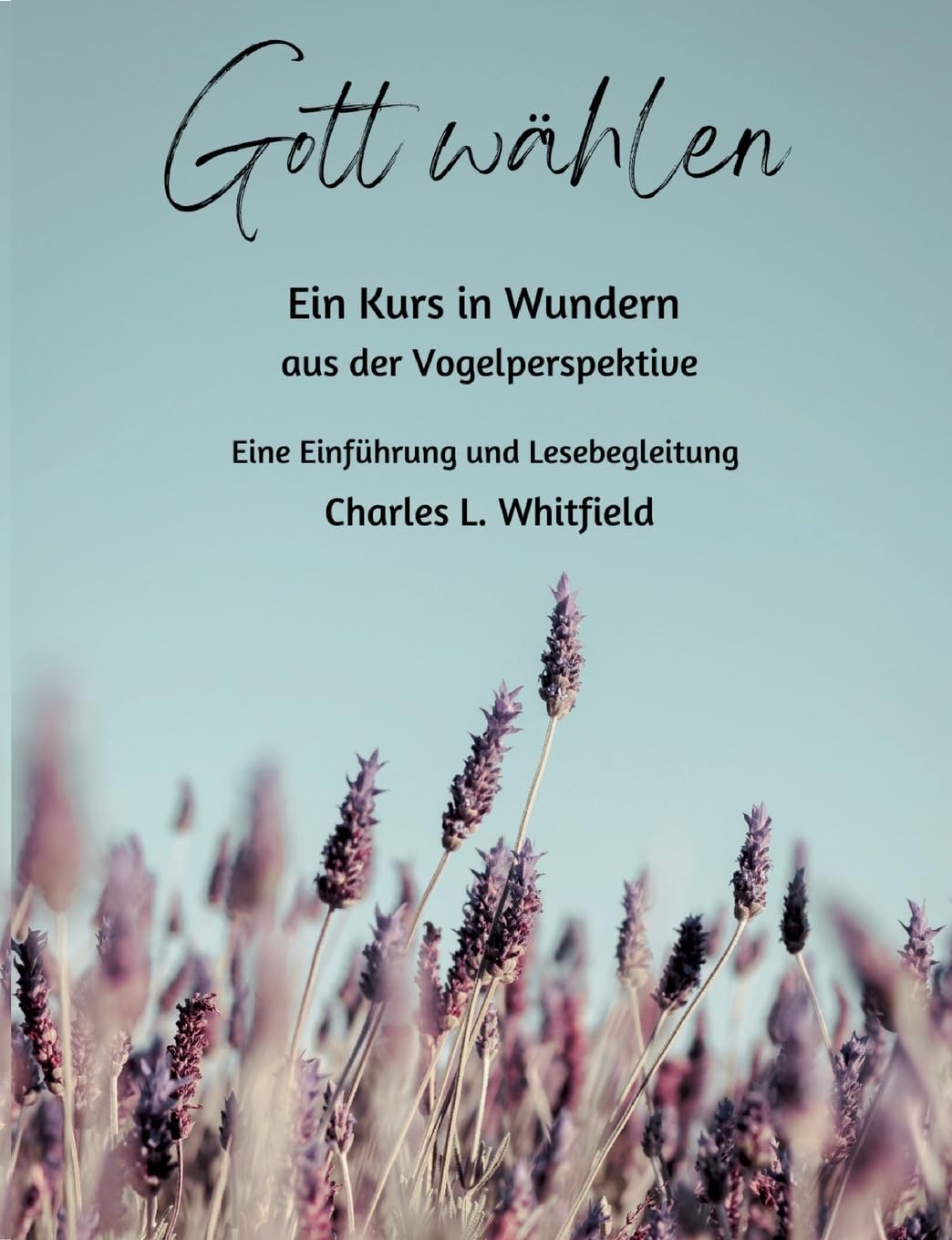 Gott wählen: Ein Kurs in Wundern aus der Vogelperspektive