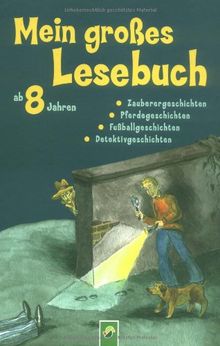 Mein großes Lesebuch: Zauberergeschichten, Pferdegeschichten, Fußballgeschichten, Detektivgeschichten