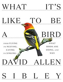 What It's Like to Be a Bird: From Flying to Nesting, Eating to Singing--What Birds Are Doing, and Why (Sibley Guides)