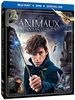 Les animaux fantastiques [Blu-ray] 