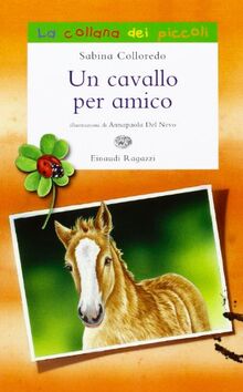 Un cavallo per amico