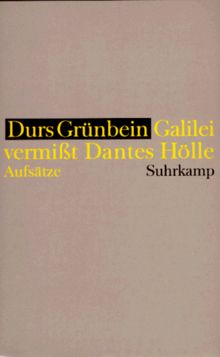 Galilei vermißt Dantes Hölle und bleibt an den Maßen hängen. Aufsätze 1989 - 1995