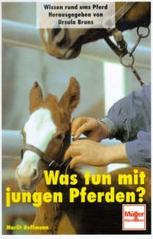 Was tun mit jungen Pferden?