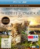 Wildlife Südafrika 3D - Auf den Spuren von weissen Haien und den Big Five (3D Version inkl. 2D Version & 3D Lenticular Card) [3D Blu-ray]