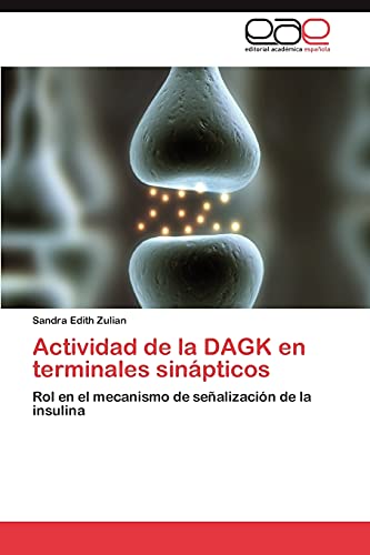 Actividad de la DAGK en terminales sinápticos: Rol en el mecanismo de señalización de la insulina