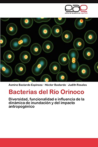 Bacterias del Río Orinoco: Diversidad, funcionalidad e influencia de la dinámica de inundación y del impacto antropogénico